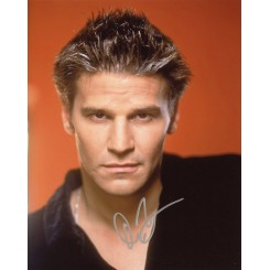 BOREANAZ David