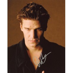 BOREANAZ David