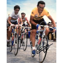 HINAULT Bernard