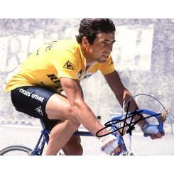 HINAULT Bernard